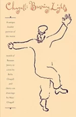 Image of burning lights a unique double portrait of russia