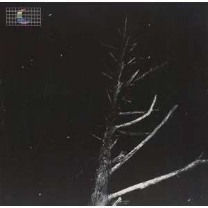 Image of Peter Broderick - (Colours of the Night) Satellite 12" Vinyl