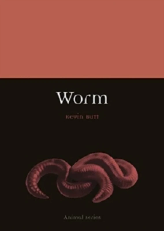 Image of Worm Paperback / softback