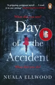 Image of Day of the Accident : The compelling and emotional thriller with a twist you won't believe