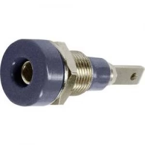 Image of Jack socket Socket vertical vertical Pin diameter 2mm Black S