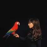 Image of Claude Fontaine - Claude Fontaine