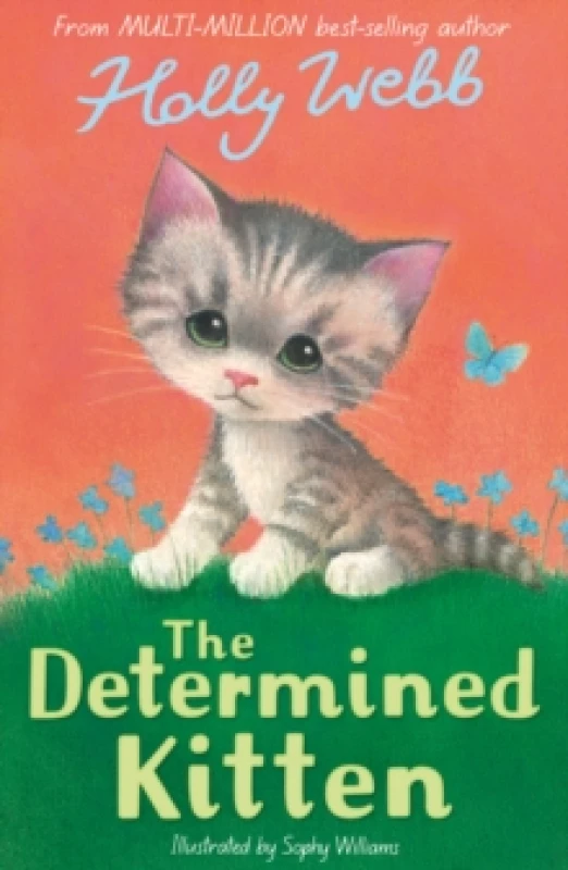 Image of The Determined Kitten Paperback / softback
