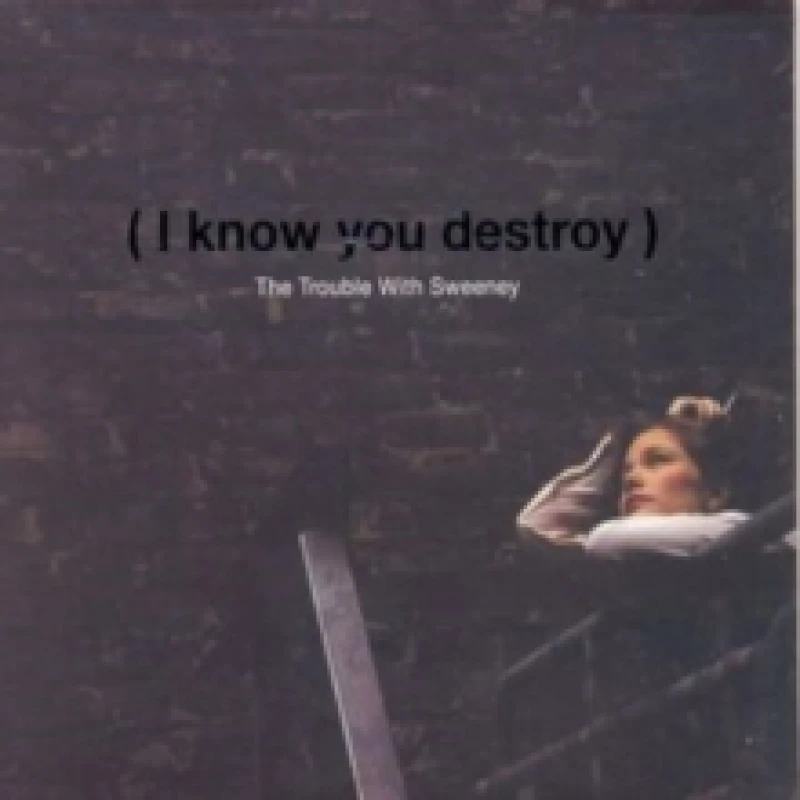 Image of I know you destroy CD / Album