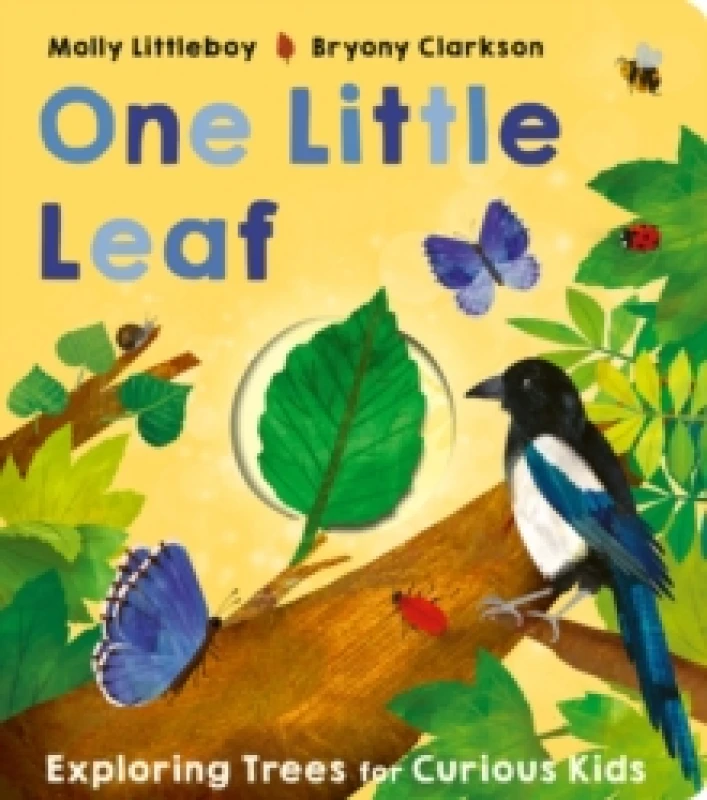 Image of One Little Leaf Board book