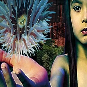 Image of Future Sound Of London - Lifeforms Vinyl