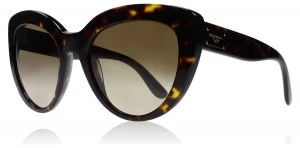 Image of Dolce & Gabbana DG4287 Sunglasses Dark Tortoise 502-13 53mm