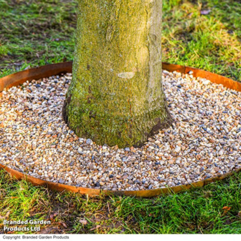 Image of Garden Gear Circular Heavy Duty Metal Border Edging For Bushes, Shrubs & Trees 60Cm Diameter (Corten Steel)