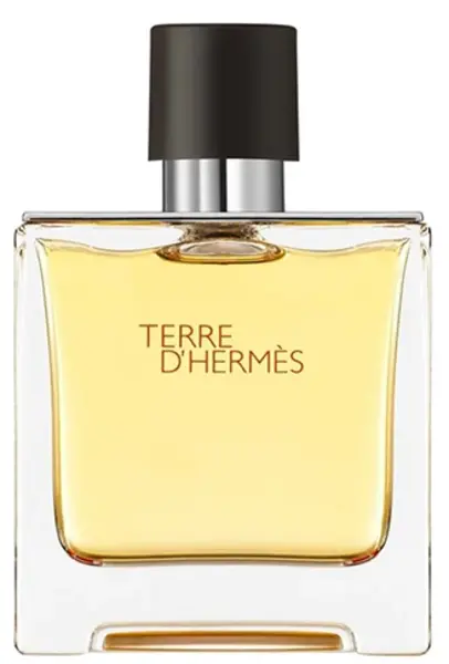 Image of Hermes Terre D'Hermes Eau de Parfum For Him 75ml