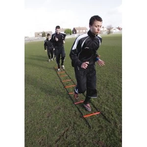 Image of Precision 2 Metre Speed Ladder (Yellow/Black)