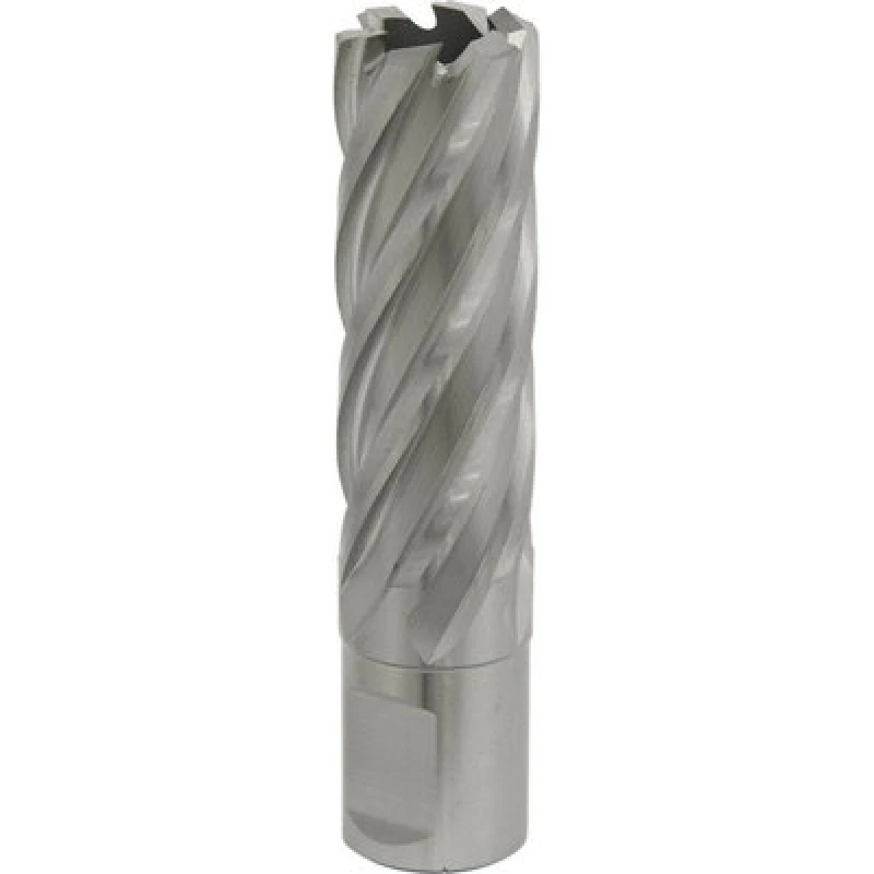 Image of Loops 20mm x 50mm Depth Rotabor Cutter - M2 Steel Annular Metal Core Drill 19mm Shank Metallics