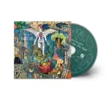 Image of Pour It Out Into the Night