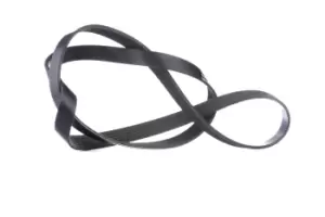 Image of RIDEX V-ribbed belt VW,AUDI,RENAULT 305P0123 55193360,03L903137A,5750EW Serpentine belt,Auxiliary belt,Poly V-belt,Ribbed belt,Multi V-belt,Poly belt