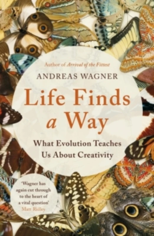 Image of Life Finds a Way : What Evolution Teaches Us About Creativity Paperback / softback