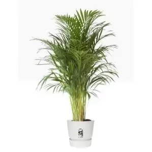 Image of Elho Greenville Round Pot & Base White 40cm NWT7036