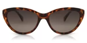 Image of Polaroid Sunglasses PLD 4080/S Polarized 086/LA