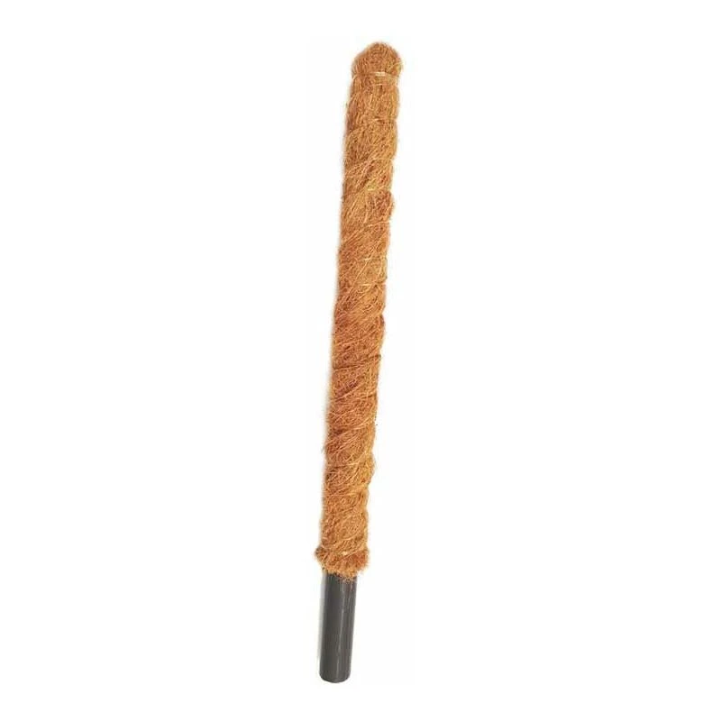 Image of Grow Poles - Fibre/Wood - L5 x W5 x H60cm CoirProductsCPUK60GP02