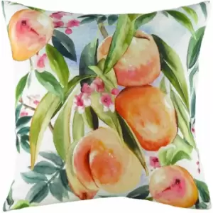 Image of Evans Lichfield - Fruit Peaches Watercolour Print Cushion Cover, Multi, 43 x 43 Cm