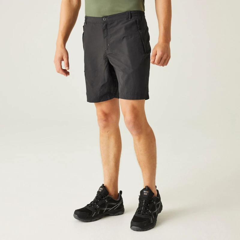 Image of Regatta Leesville II Lightweight Shorts - Grey Grey 44