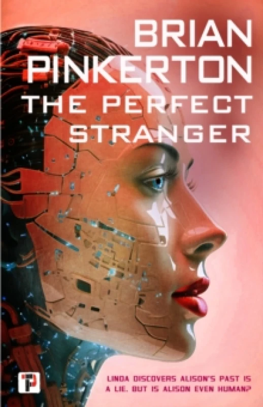Image of The Perfect Stranger Hardback