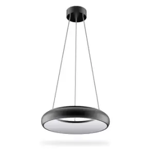 Image of Phoebe LED Downlight 25W Cool White Polo 120° Diffused Black Drop Pendant