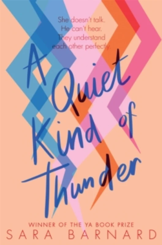 Image of Sara Barnard A Quiet Kind of Thunder Book Multi unisex