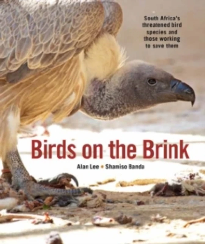 Image of Birds on the Brink : South Africas threatened birds and those working to save them Paperback / softback