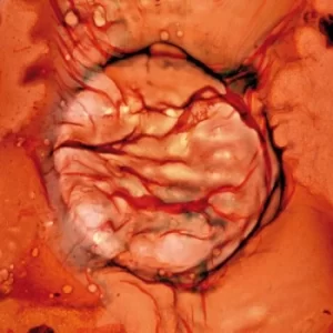 Image of Bastet by LCC Vinyl Album