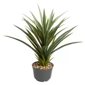Image of Smart Garden Spikey Sisal Faux Plant