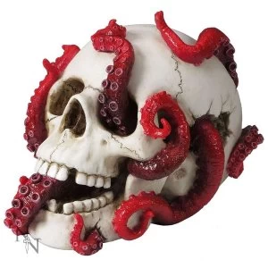 Image of Devoured Skull