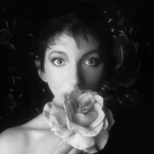 Image of Kate Bush - Remastered In Vinyl II Vinyl