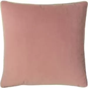 Image of Cohen Velvet Cushion Blush - Blush - Furn.
