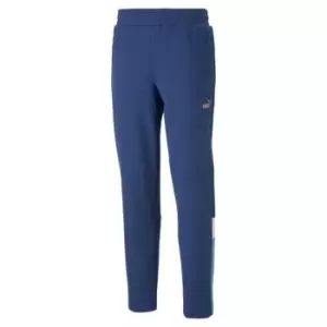 Image of Puma Manchester City CNY Training Joggers 2023 Adults - Blue