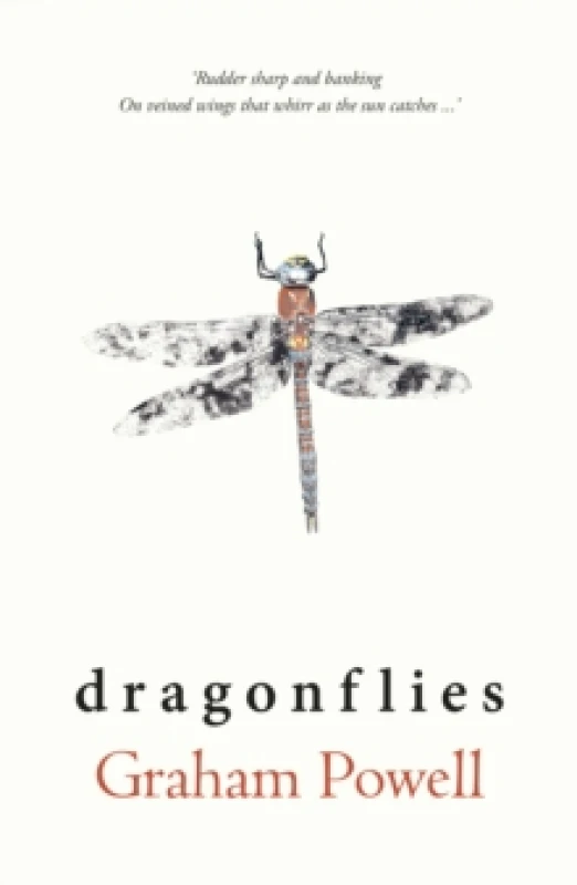 Image of Dragonflies Paperback / softback
