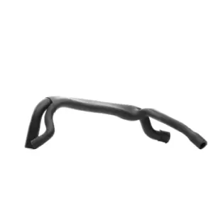 Image of RIDEX Crankcase Breather BMW 1600H16000044 11151247743,11151739231,11151739547 Crankcase Ventilation,Hose, crankcase breather 11151743386