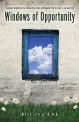 Image of Windows of opportunity by Sherri Cortland