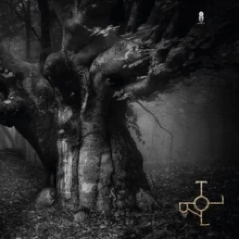 Image of Troll Vinyl