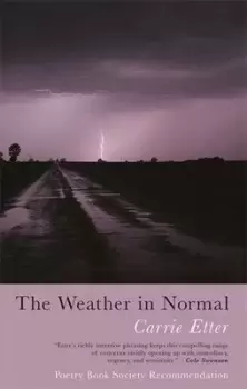 Image of The Weather in Normal by Carrie Etter