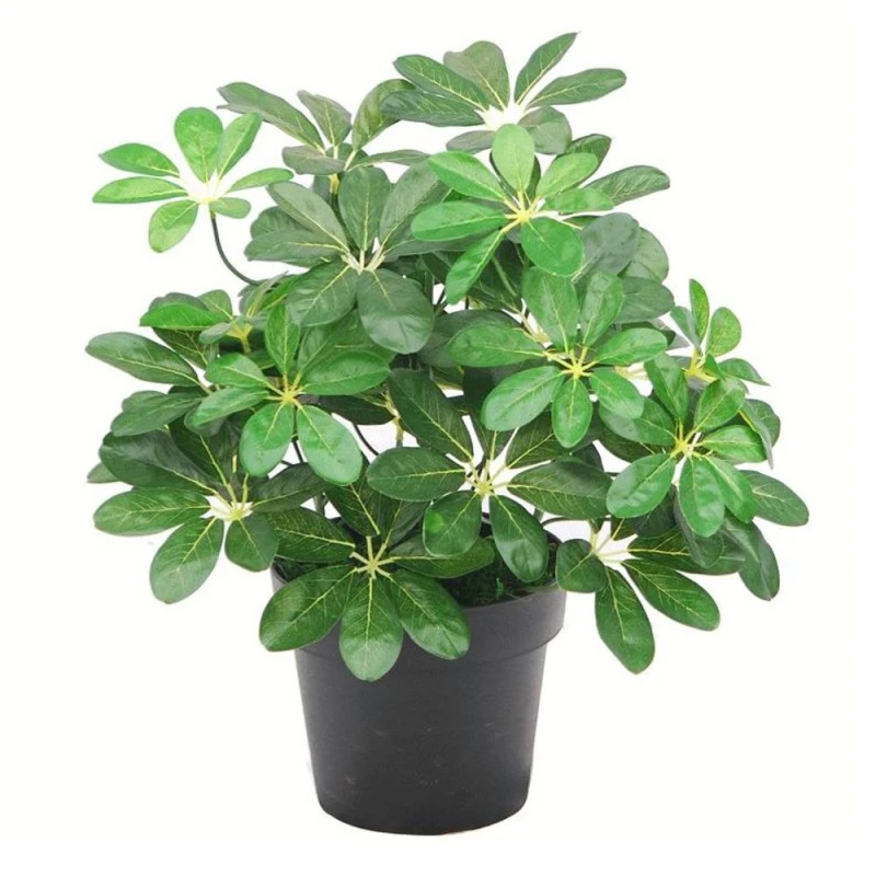Image of Leaf 55cm Dark Green Artificial Schefflera Arboricola Plant Green unisex