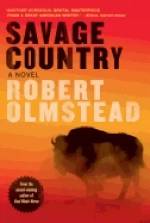 Image of savage country a novel