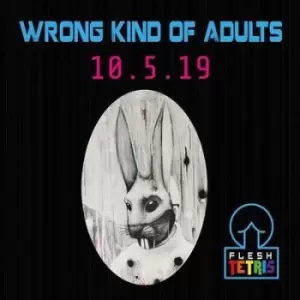 Image of Wrong Kind of Adults by Flesh Tetris CD Album