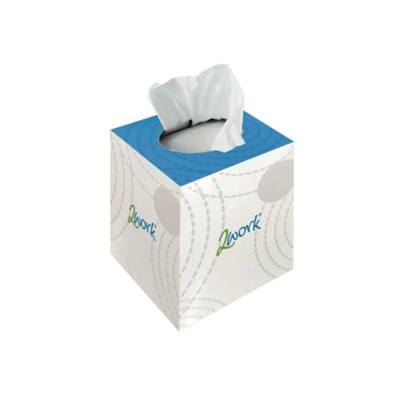 Image of 2Work Facial Tissues Cube 2-Ply 70 Sheets (24 Pack) CPD13550