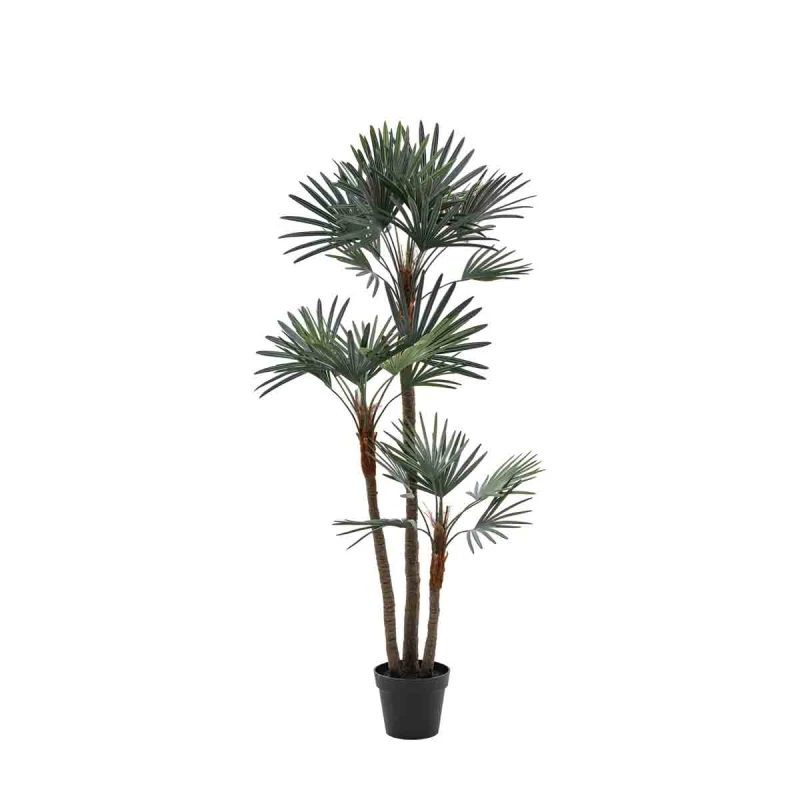 Image of Crossland Grove Potted Statement Palm 1580mm, Grey 5056693592587