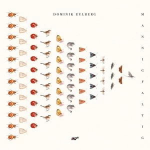 Image of Dominik Eulberg - Mannigfaltig Vinyl