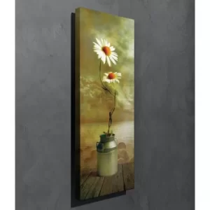 Image of PC164 Multicolor Decorative Canvas Painting