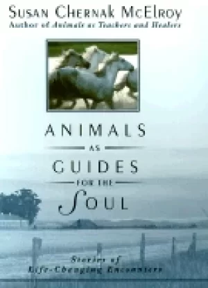 Image of animals as guides for the soul stories of life changing encounters