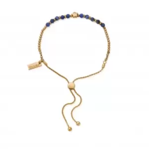Image of Gold Midnight Star Sodalite Adjustable Bracelet GBASFB