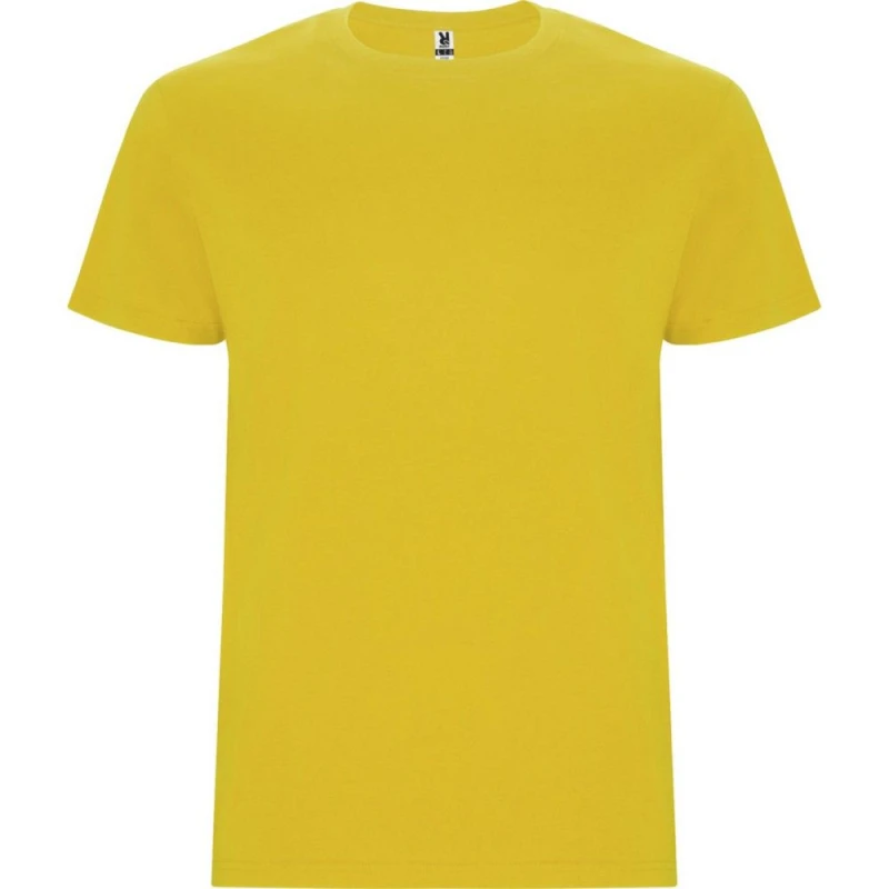 Image of Roly Stafford boys's Children's T shirt in Multicolour
