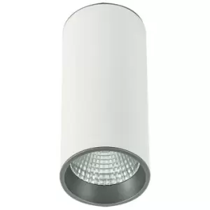 Image of Italux Moldes Big wh / gr Ceiling 4000K - Modern Technical LED Surface Mounted White, Grey, Cool White 4000K 820lm