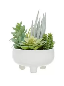 Image of Premier Housewares Fiori Mixed Succulents In Large Pot